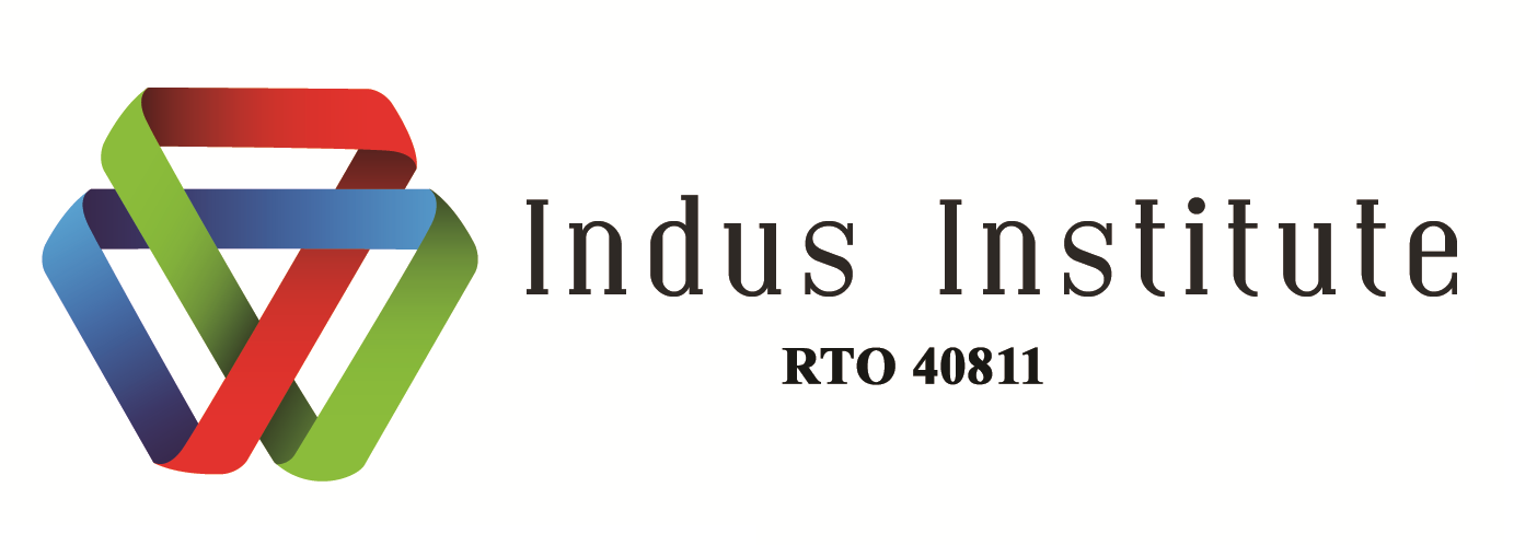 Professional Year Program - Indus Institute